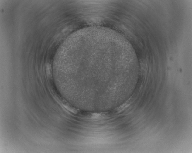 X0000075850130200610151620