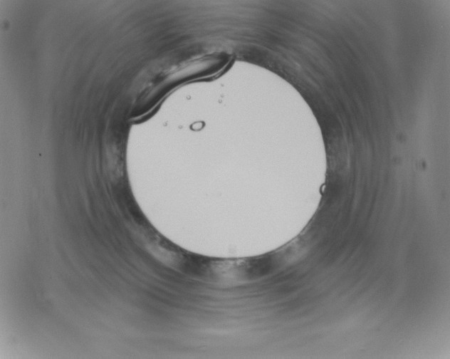 X0000075850136200610151619
