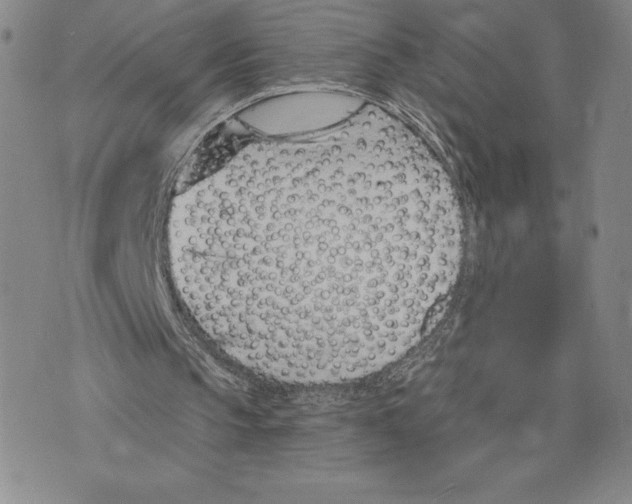 X0000075850145200610151619