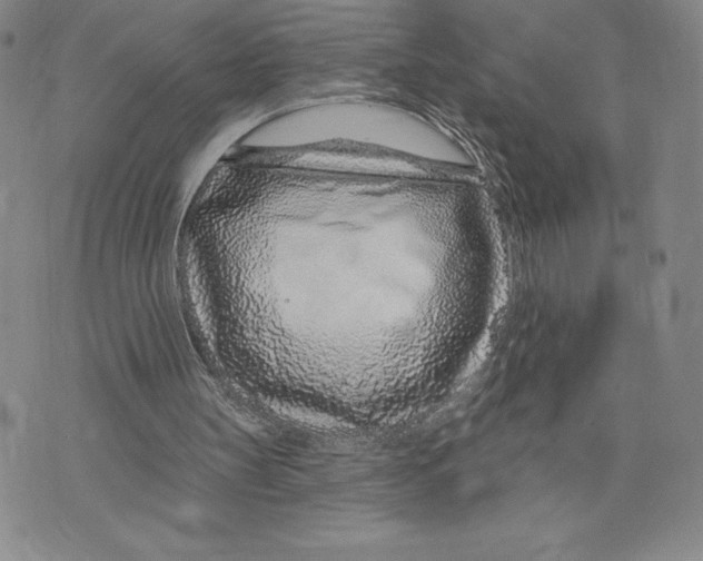X0000075850147200610151619