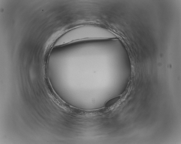 X0000075850149200610151619