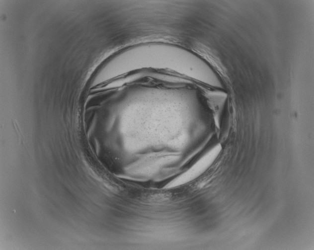 X0000075850156200610151619