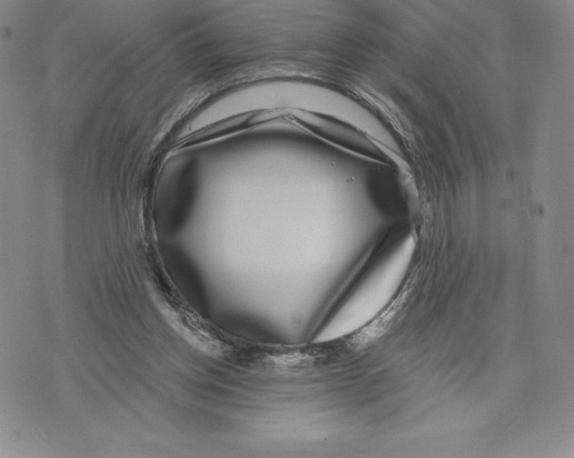 X0000075850158200610151619