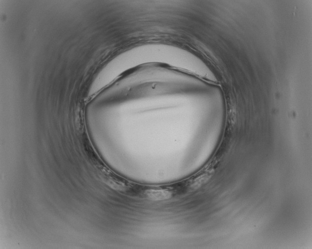 X0000075850169200610151619