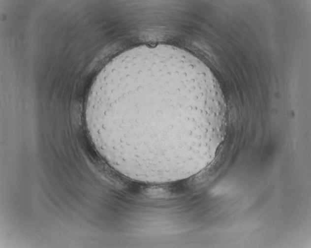X0000075850171200610151619