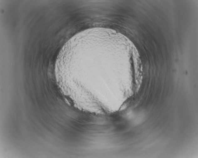 X0000075850181200610151619