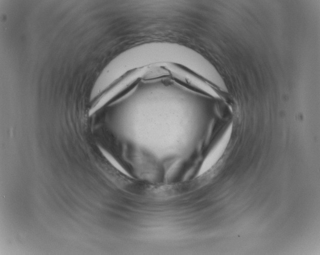 X0000075850186200610151619