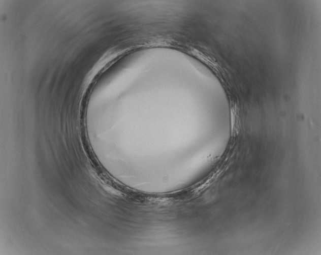 X0000075850195200610151619