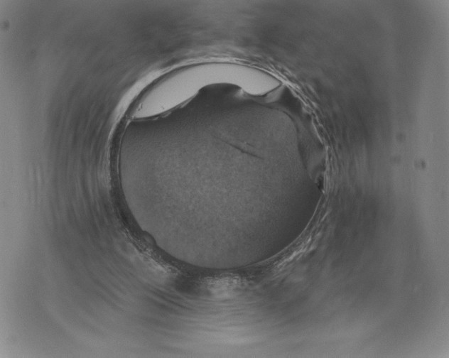 X0000075850200200610151618