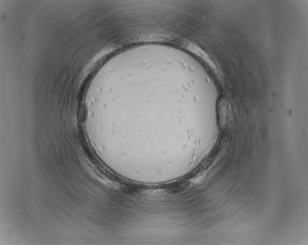 X0000075850203200610151618