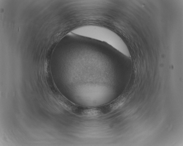 X0000075850219200610151618