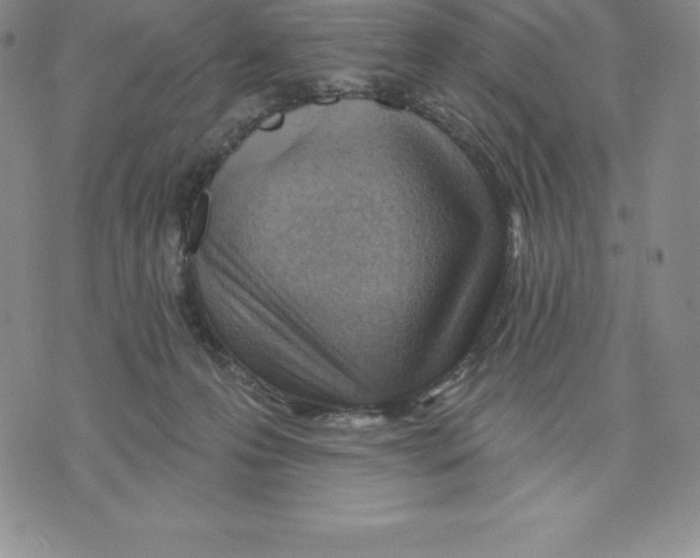 X0000075850223200610151618