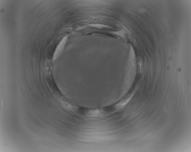 X0000075850237200610151618