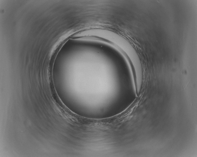 X0000075850244200610151617