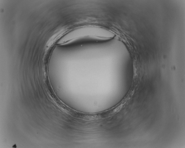 X0000075850245200610151617