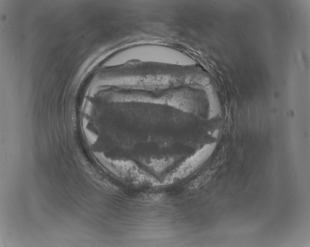 X0000075850247200610151617
