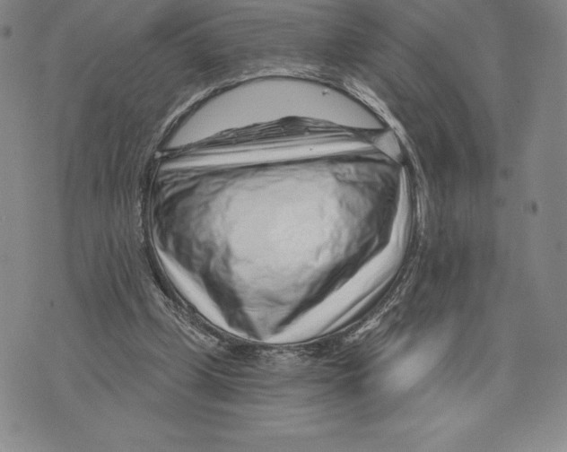 X0000075850249200610151617