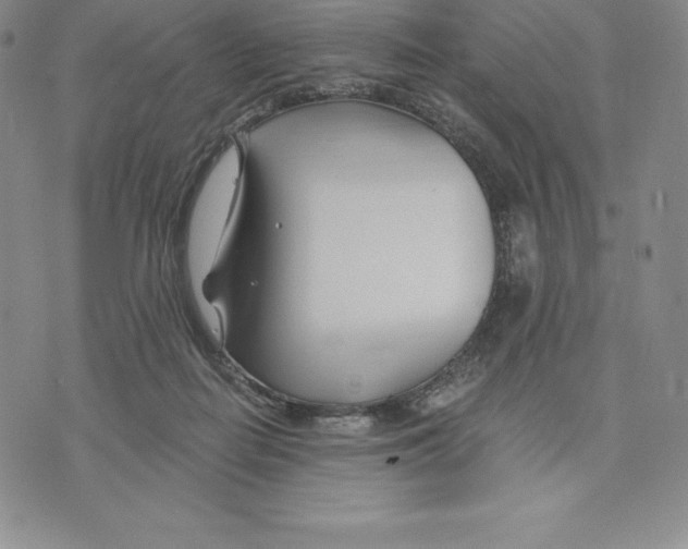 X0000075850266200610151617
