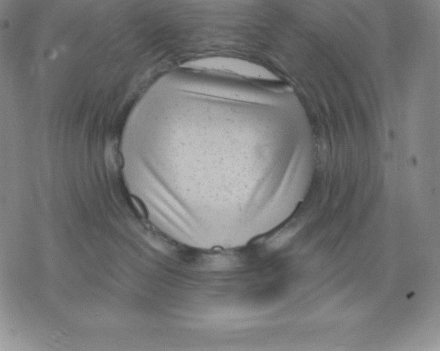 X0000075850286200610151618