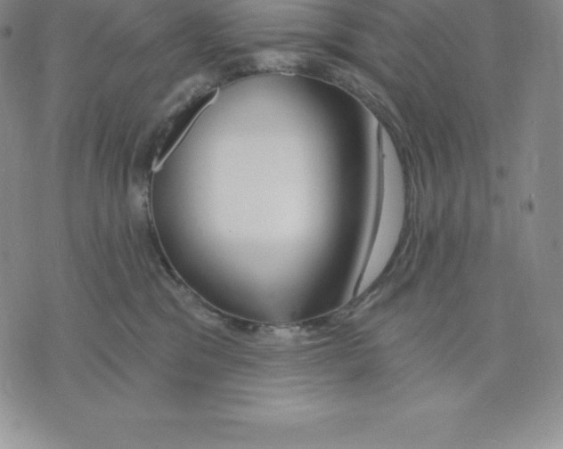 X0000075850329200610151616