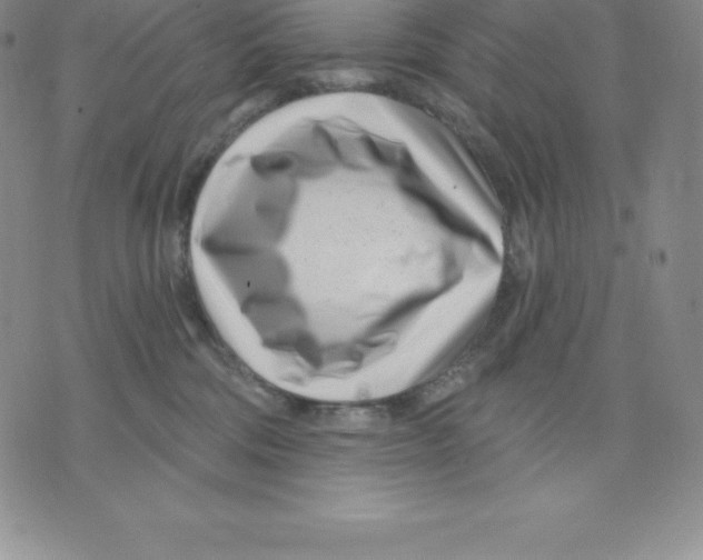 X0000075850330200610151616