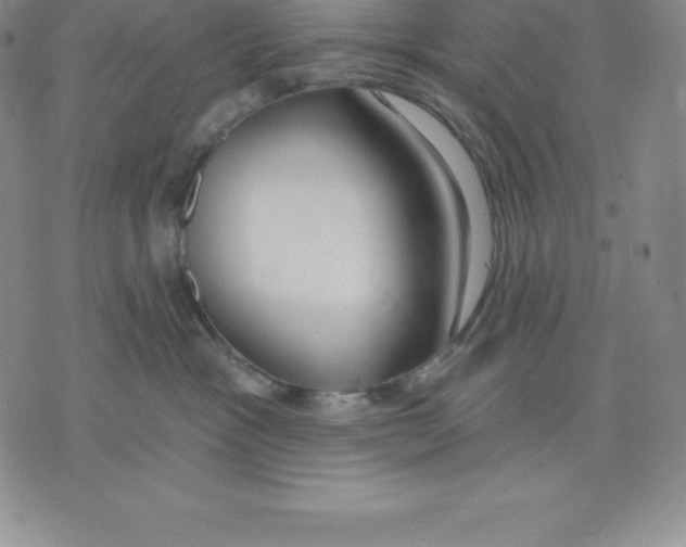 X0000075850333200610151616