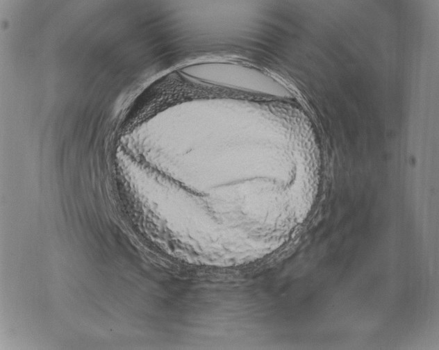 X0000075850337200610151615