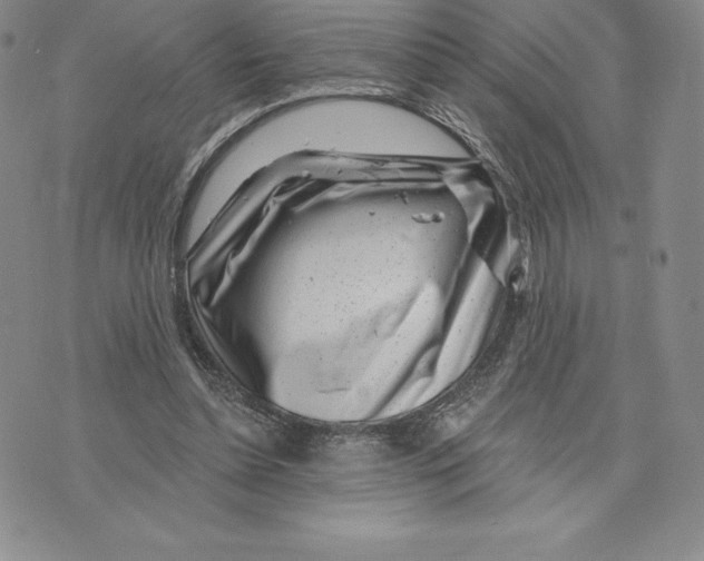 X0000075850348200610151616