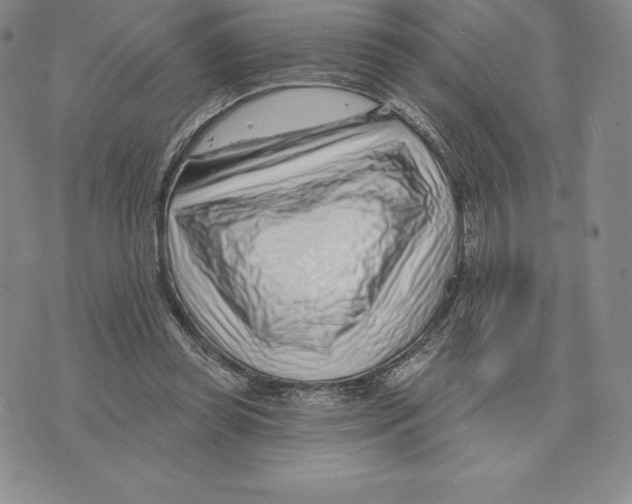 X0000075850349200610151616