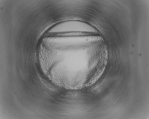 X0000075850351200610151616