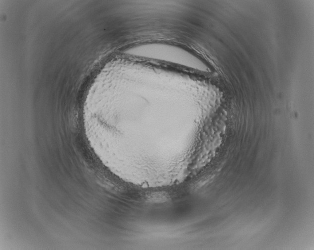 X0000075850355200610151616
