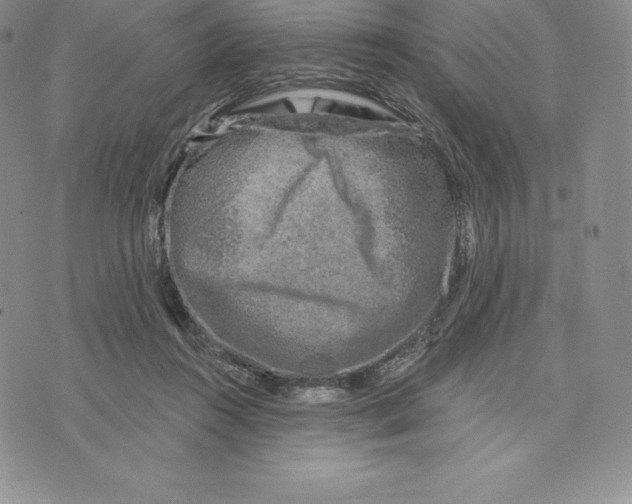X0000075850360200610151616