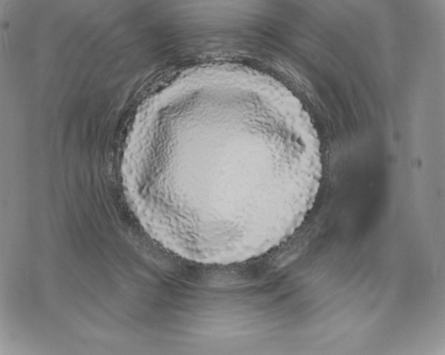 X0000075850361200610151616