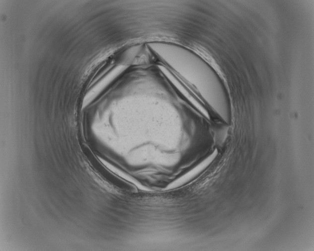 X0000075850389200610151615