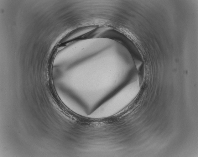 X0000075850392200610151615