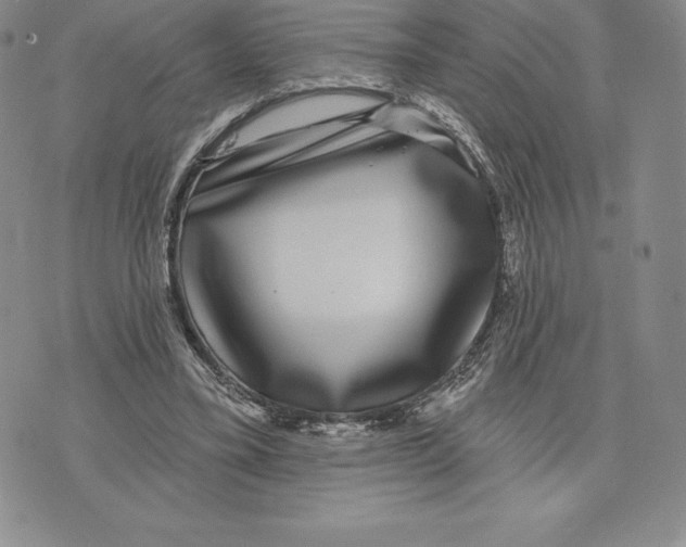 X0000075850395200610151615