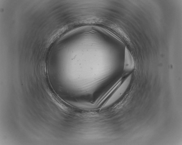 X0000075850397200610151615