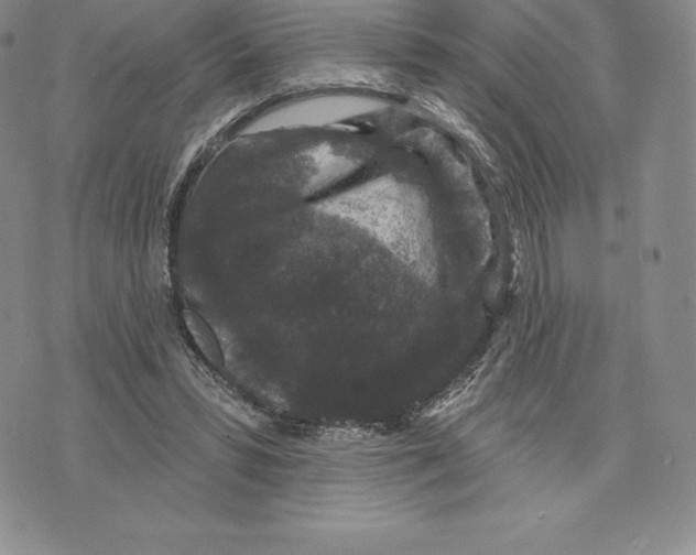 X0000075850399200610151615
