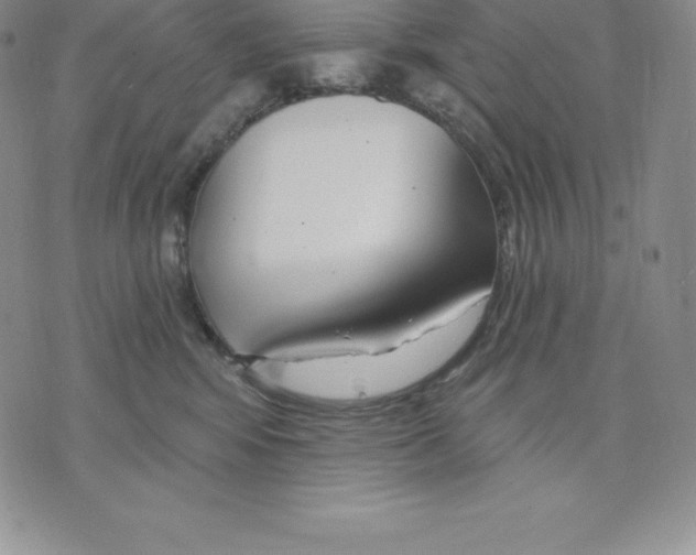 X0000075850424200610151615