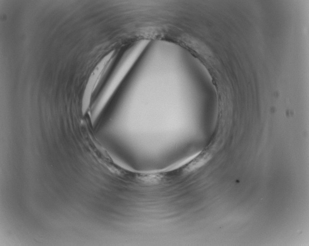X0000075850432200610151615