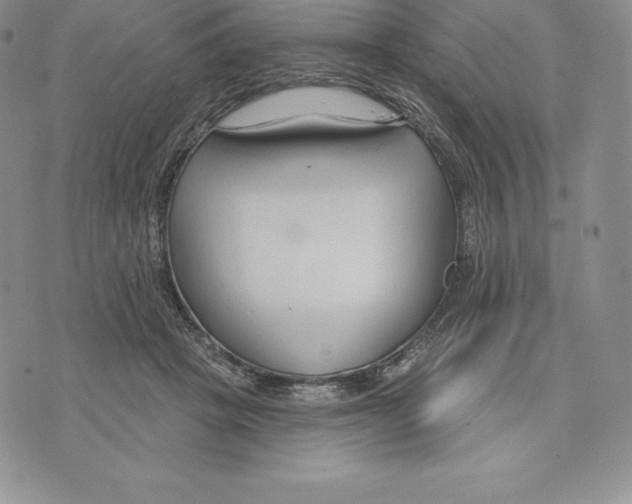 X0000075850457200610151614