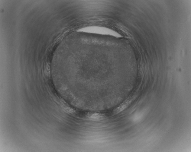 X0000075850467200610151614