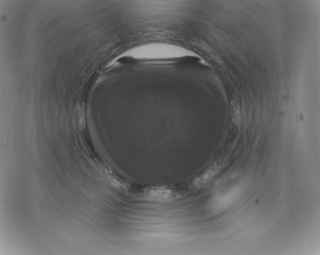 X0000075850471200610151614