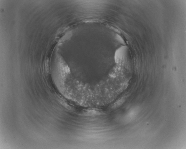 X0000075850475200610151614