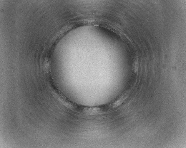 X0000075850476200610151614