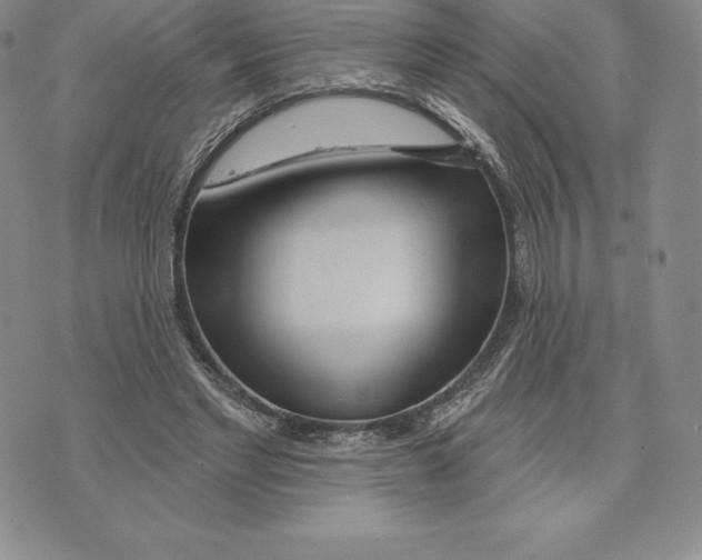 X0000075850493200610151614