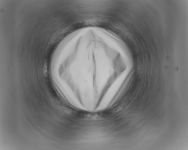 X0000075850502200610151613