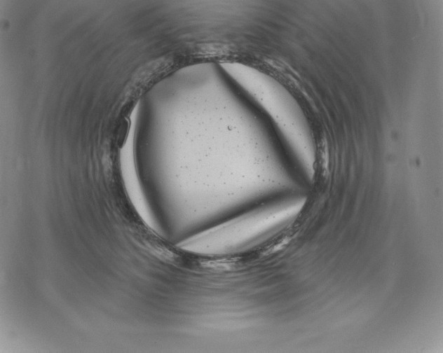 X0000075850516200610151613