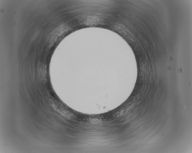 X0000075850592200610151612