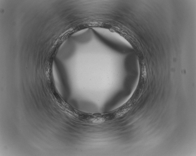 X0000075850604200610151612